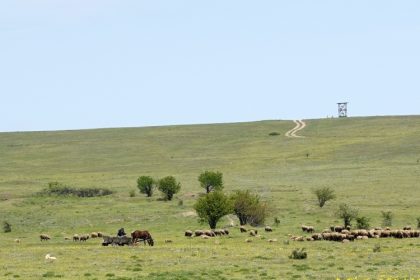 aproape si a omorat fosta iubita pe camp dar nu mai vrea la inchisoare judecatorii au alta parere 68416ec2a54d2