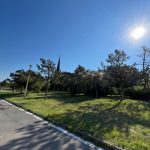 ce spune ipj constanta despre adolescentul gasit spanzurat in parcul tabacarie 683e99e412f0e