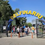 cjc a lansat licitatia pentru dotarea extinderii delfinariului 68435e7a7943d
