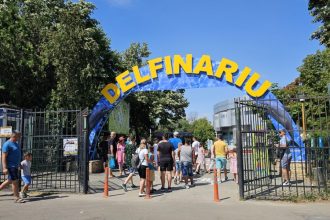 cjc a lansat licitatia pentru dotarea extinderii delfinariului 68435e7a7943d