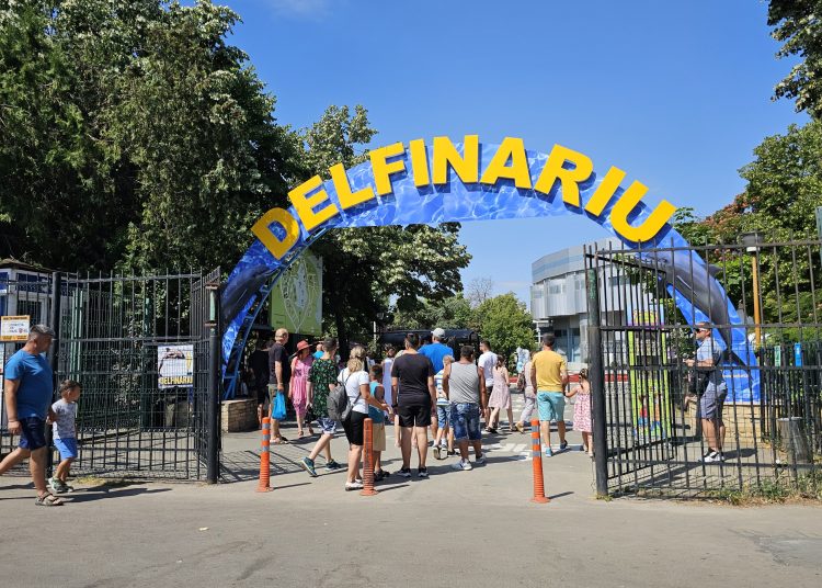 cjc a lansat licitatia pentru dotarea extinderii delfinariului 68435e7a7943d