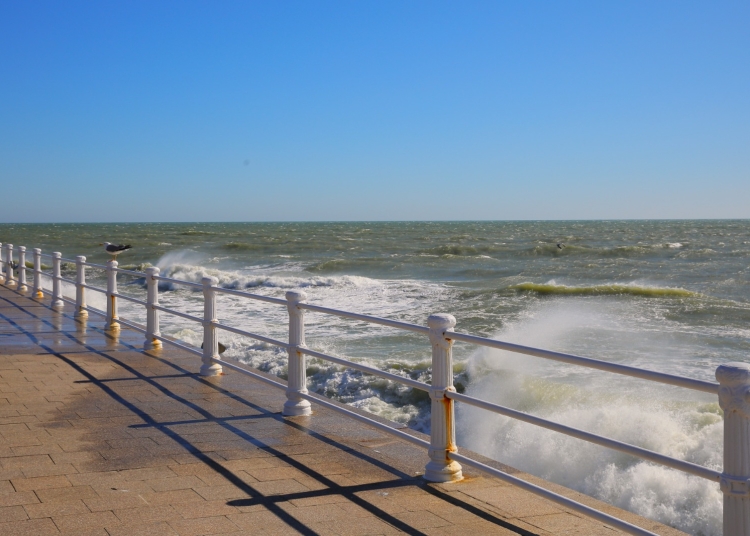 cod galben de vant puternic la constanta 6854f6f14bccf