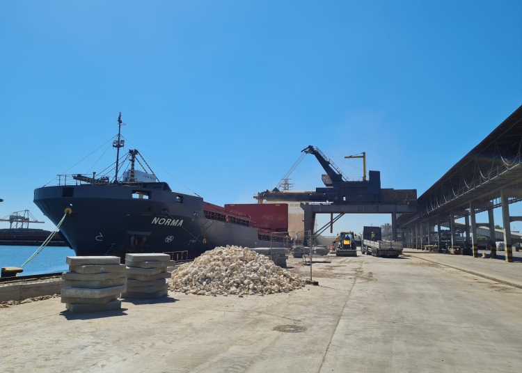 doua firme cercetate in dosarul mita in portul constanta isi cer falimentul in instanta 6851ef53d2df7