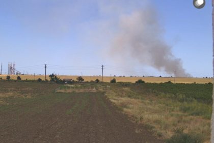 doua incendii de vegetatie in judetul constanta interventii ale pompierilor la agigea si ovidiu 685694a3c3f4b