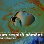 expozitie de fotografie a regizorului dan mihalcea la delfinariu 684d40543ae1c