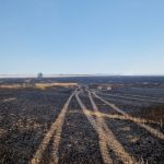 galerie foto incendii de vegetatie in mai multe localitati pompierii constanteni au intervenit de urgenta 685d2778a2fb3