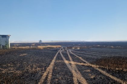 galerie foto incendii de vegetatie in mai multe localitati pompierii constanteni au intervenit de urgenta 685d2778a2fb3