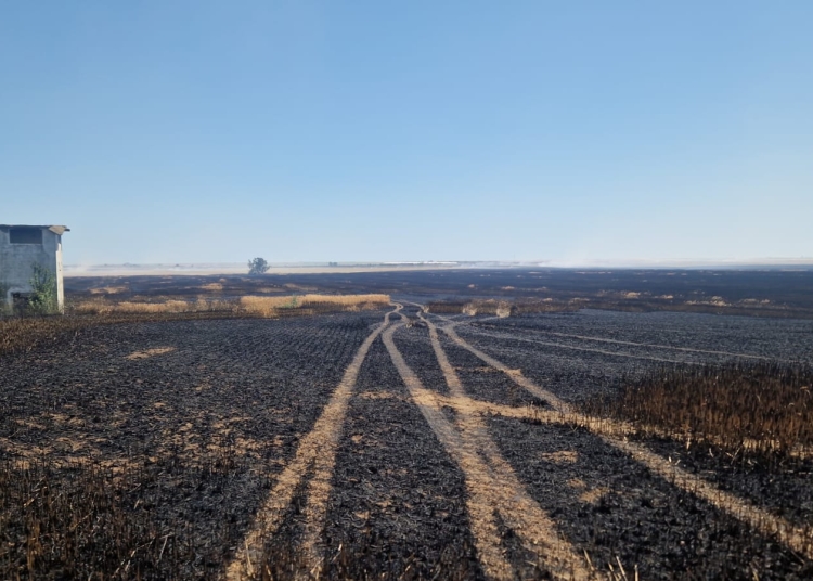 galerie foto incendii de vegetatie in mai multe localitati pompierii constanteni au intervenit de urgenta 685d2778a2fb3