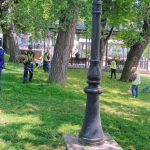 galerie foto primaria constanta continua activitatile de ingrijire a spatiilor verzi 68493ef11cade