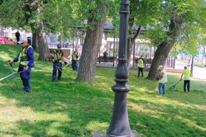 galerie foto primaria constanta continua activitatile de ingrijire a spatiilor verzi 68493ef11cade