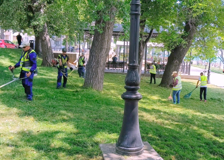 galerie foto primaria constanta continua activitatile de ingrijire a spatiilor verzi 68493ef11cade