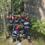 galerie fotovideo continua exercitiul national de simulare a unui cutremur pagube mari in bucuresti ilfov calarasi si ialomita 6856b31c3e1a4