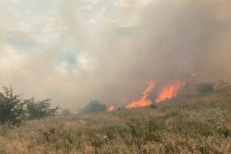 incendiu de proportii la cobadin groapa de gunoi si lan de grau cuprinse de flacari 6857ee72bde54