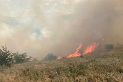 incendiu de proportii la cobadin groapa de gunoi si lan de grau cuprinse de flacari 6857ee72bde54