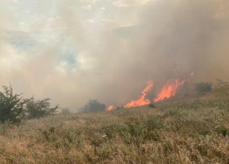 incendiu de proportii la cobadin groapa de gunoi si lan de grau cuprinse de flacari 6857ee72bde54