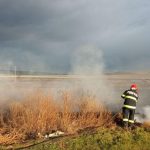 incendiu violent de vegetatie uscata in poarta alba 685aa1ba1a7ab