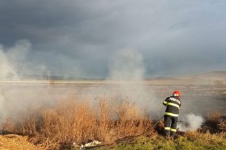 incendiu violent de vegetatie uscata in poarta alba 685aa1ba1a7ab