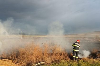 incendiu violent de vegetatie uscata in poarta alba 685aa1ba1a7ab