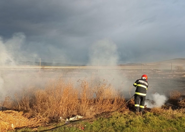 incendiu violent de vegetatie uscata in poarta alba 685aa1ba1a7ab