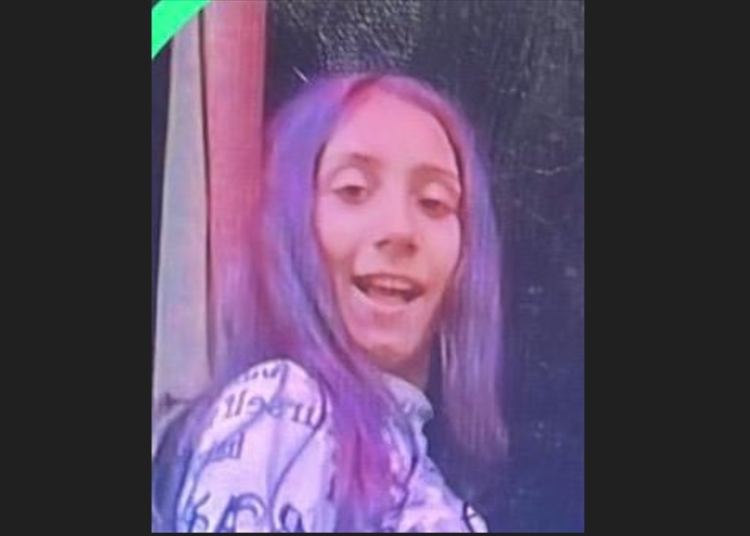 minora de 13 ani din medgidia cautata de politie si de familie e data disparuta de joi 685502c303029