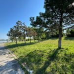 minorul gasit spanzurat in parcul tabacarie a fost identificat 683ea28e41dd0