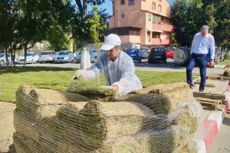 noi spatii verzi in zona de est a orasului navodari chelaru instalam sistem de irigatii modern iar din toamna vom planta copaci si arbusti ornamentali 684167843a108
