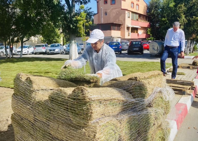 noi spatii verzi in zona de est a orasului navodari chelaru instalam sistem de irigatii modern iar din toamna vom planta copaci si arbusti ornamentali 684167843a108