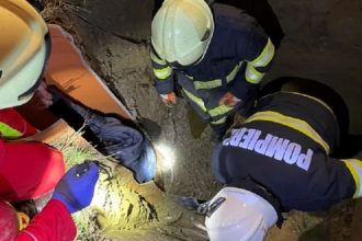 pompierii au fost chemati sa salveze 3 purcei cazuti in canalizare 683c04781478d