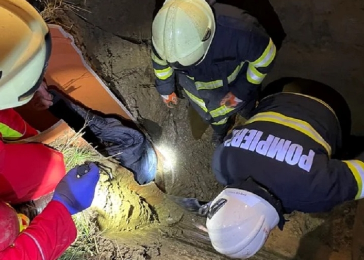 pompierii au fost chemati sa salveze 3 purcei cazuti in canalizare 683c04781478d