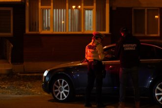 sofer baut fara permis si cu masina neinmatriculata imobilizat de politisti la cernavoda 6856717cbbac1