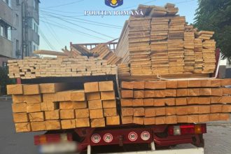 un barbat a fost sanctionat pentru ca transporta o cantitate mai mare de lemne decat cea declarata in documente 685fcccbc8d8a