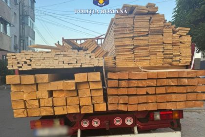 un barbat a fost sanctionat pentru ca transporta o cantitate mai mare de lemne decat cea declarata in documente 685fcccbc8d8a