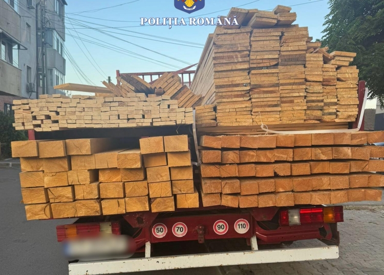 un barbat a fost sanctionat pentru ca transporta o cantitate mai mare de lemne decat cea declarata in documente 685fcccbc8d8a