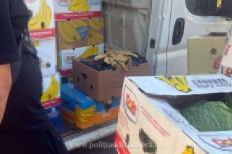 video aproximativ o tona de tutun vrac ascunsa intr un microbuz cu varza 685a8215daf08