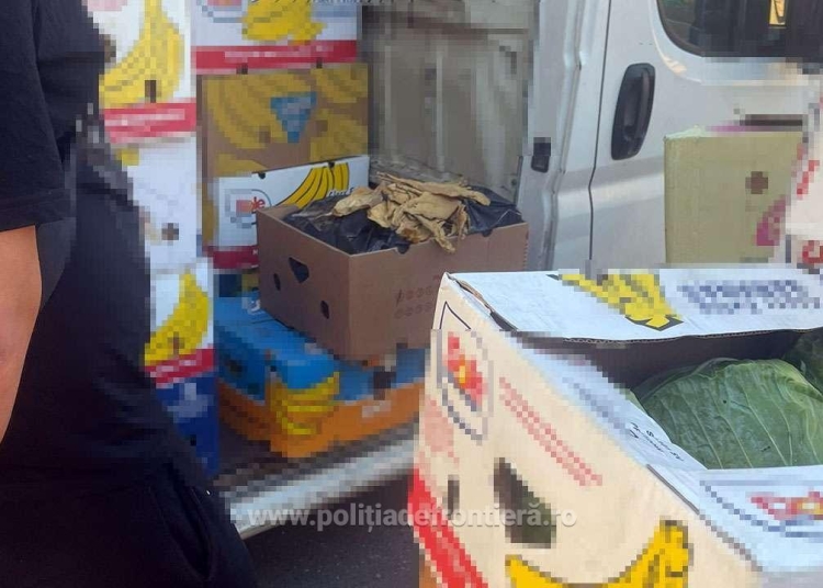 video aproximativ o tona de tutun vrac ascunsa intr un microbuz cu varza 685a8215daf08