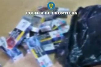 video captura de 9 milioane de lei in portul constanta sud peste 350 000 de pachete cu tigari de contrabanda ascunse intr un container cu placi ceramice 6856704ba5410