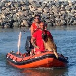 video chelsea primul caine salvamar din costinesti isteata curajoasa si gata sa salveze vieti 685e4ec38698c