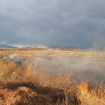 video incendiu de vegetatie uscata la iesire din babadag 685ea7d218df4