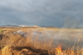 video incendiu de vegetatie uscata la iesire din babadag 685ea7d218df4