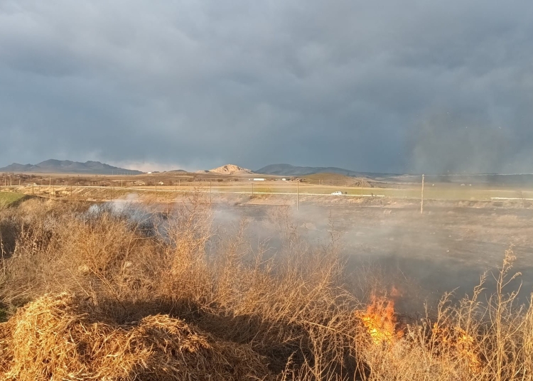 video incendiu de vegetatie uscata la iesire din babadag 685ea7d218df4