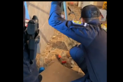video sarpe de peste un metru indepartat de jandarmi dintr o bucatarie din tulcea 6845287ab53c5