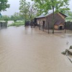 anar a emis cod portocaliu si cod galben de inundatii 68b41f98ae00d
