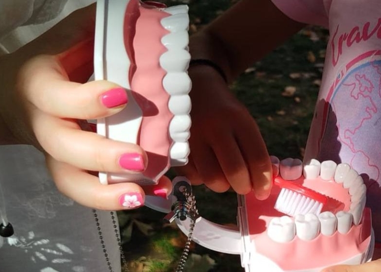 cum sa ai grija de zambetul tau lectii de igiena dentara pentru copii la navodari dr damasaru preventia este mai usoara si mai placuta decat tratamentul 68a85e43f2346
