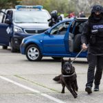 han yago bruno glont vas jak freia si hak eroii patrupezi ai jandarmeriei constanta 68adb2505ab53