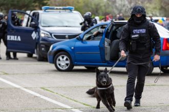 han yago bruno glont vas jak freia si hak eroii patrupezi ai jandarmeriei constanta 68adb2505ab53