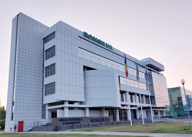 noul director romsilva va fi ales in premiera in urma unei dezbateri publice 68a8796b46ebc