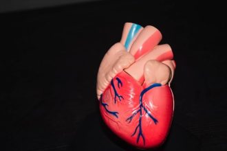 29 septembrie ziua mondiala a inimii bolile cardiovasculare un flagel mondial 68dad62319efd
