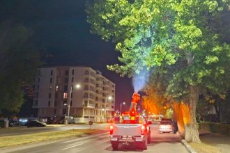 administratia locala obligata sa reia licitatia de 73 de milioane de lei pentru dezinsectie si deratizare 68b8bd647b4ce