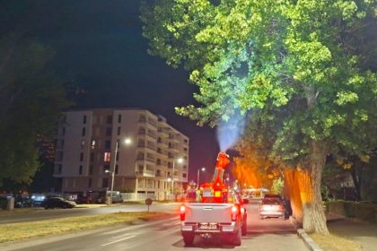 administratia locala obligata sa reia licitatia de 73 de milioane de lei pentru dezinsectie si deratizare 68b8bd647b4ce