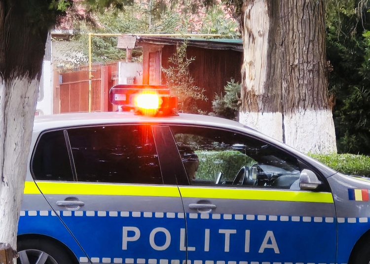 barbat din constanta cu toporisca in mana dupa un conflict verbal amendat alaturi de concubina cu 3 000 de lei fiecare 68cea317c4ef1